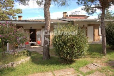 Azalea villaggio - Lignano Pineta